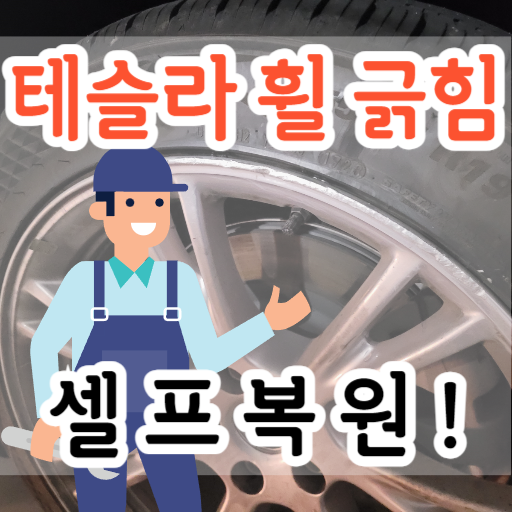 테슬라-휠-긁힘-방법을-소개하는-포스팅-썸네일