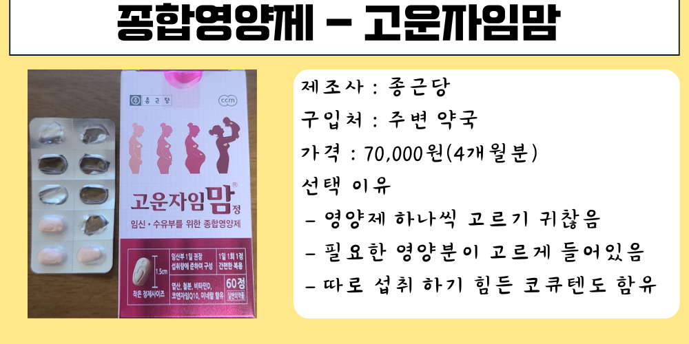 임산부 종합영양제 추천