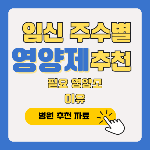 임신 주수별 영양제 추천