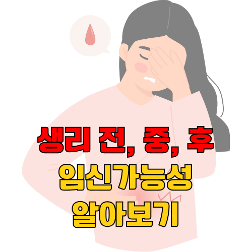 생리후 임신가능성